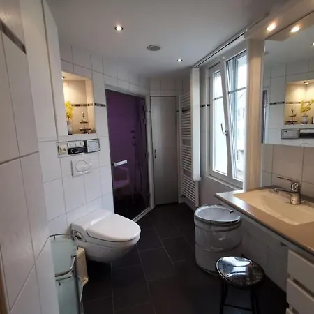 Im Fuerstenland 1-og By Interhome * Gossau SG